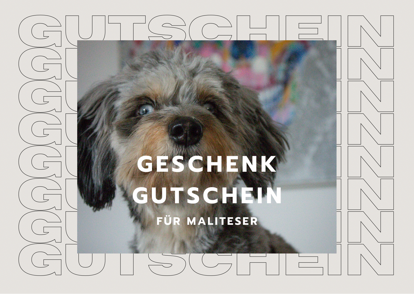 Maliteser Geschenkgutschein